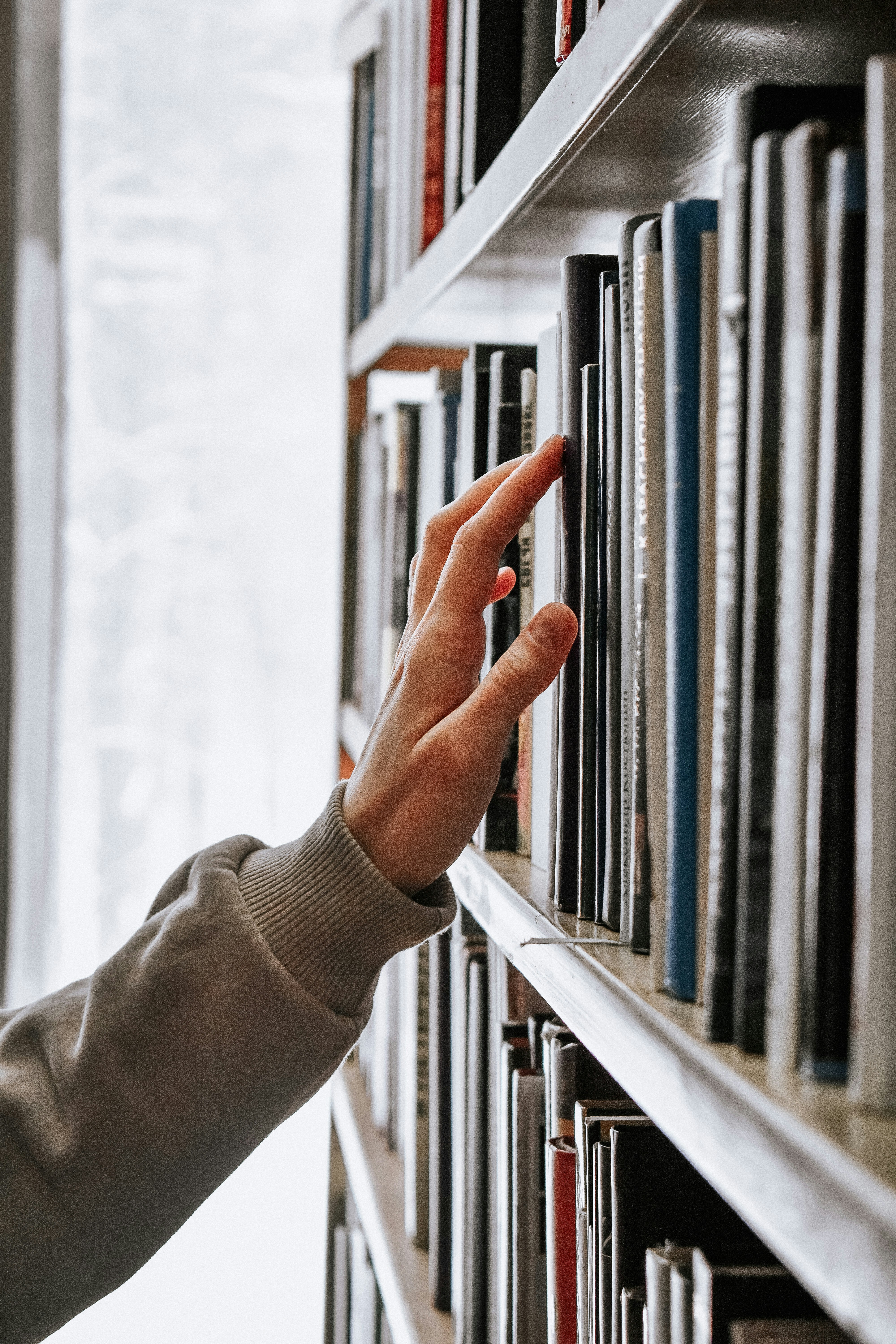 Bibliotek